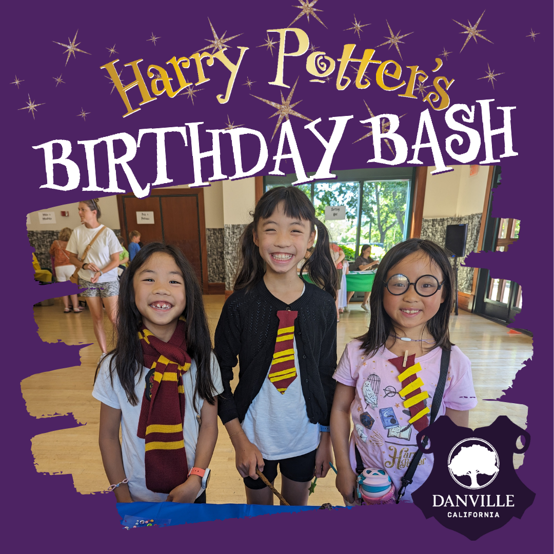 Harry Potter Birthday Bash
