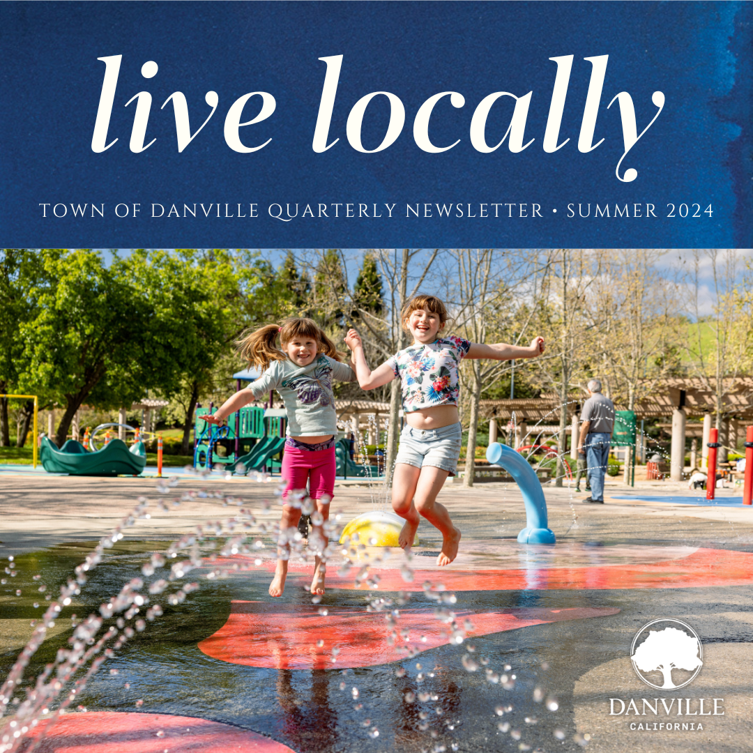 Quarterly Newsletter Graphic Summer 2024