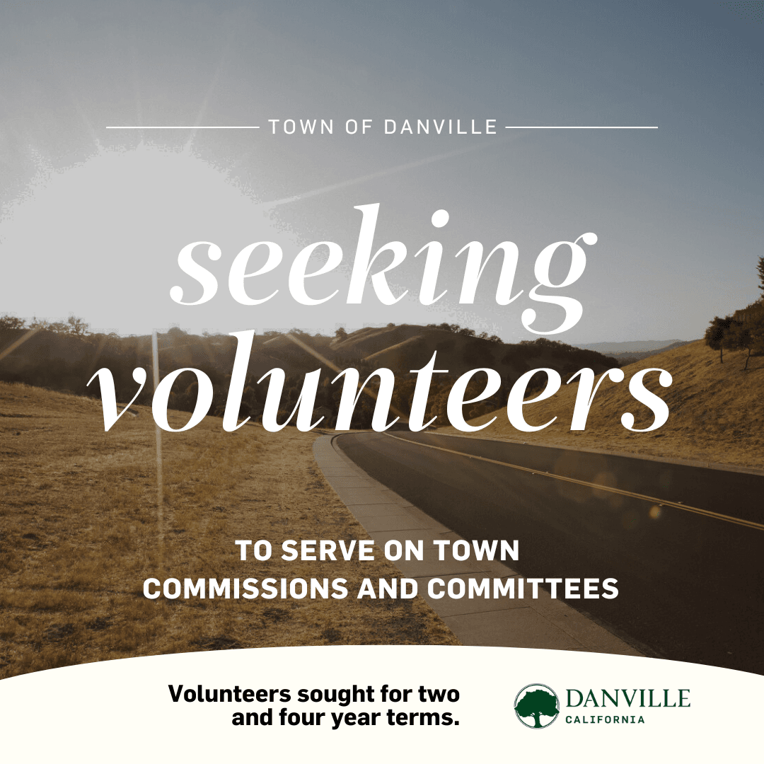 Commission Recruitment Instagram Post