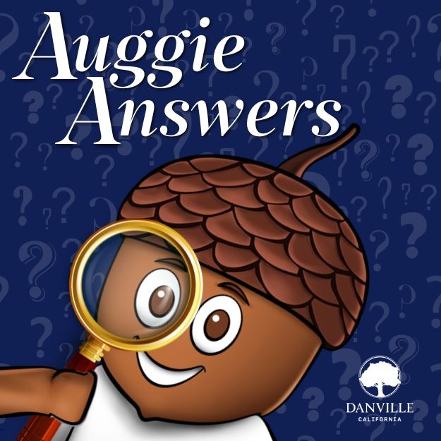 Auggie Answers