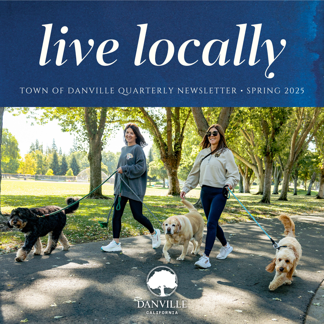 Quarterly Newsletter Graphic Winter 2025