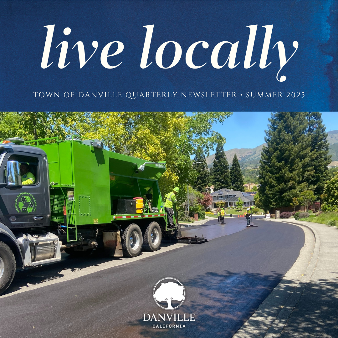 Quarterly Newsletter Graphic Summer 2025 