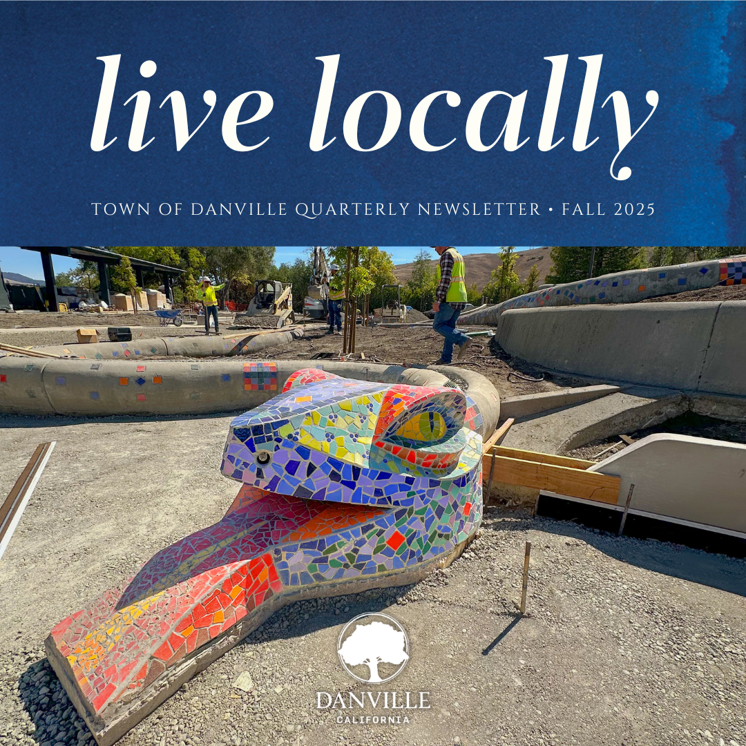 Quarterly Newsletter Graphic 