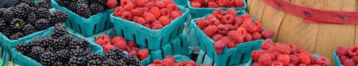 Farmers Market Interior Banner Photo