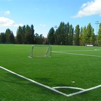 Facility Rentals - Sports Fields