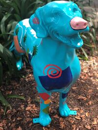 Dogs of Danville - Desert Mod Dog