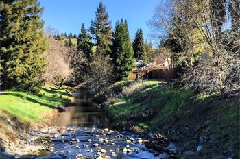 Tassajara Creek