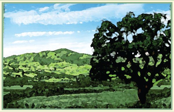 Vintage Danville Book Cover