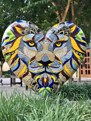 Entropy Lionheart at DCC Library