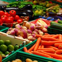 A selection of vegetables at the farmers' market