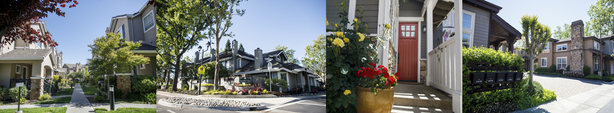 Danville Housing Montage