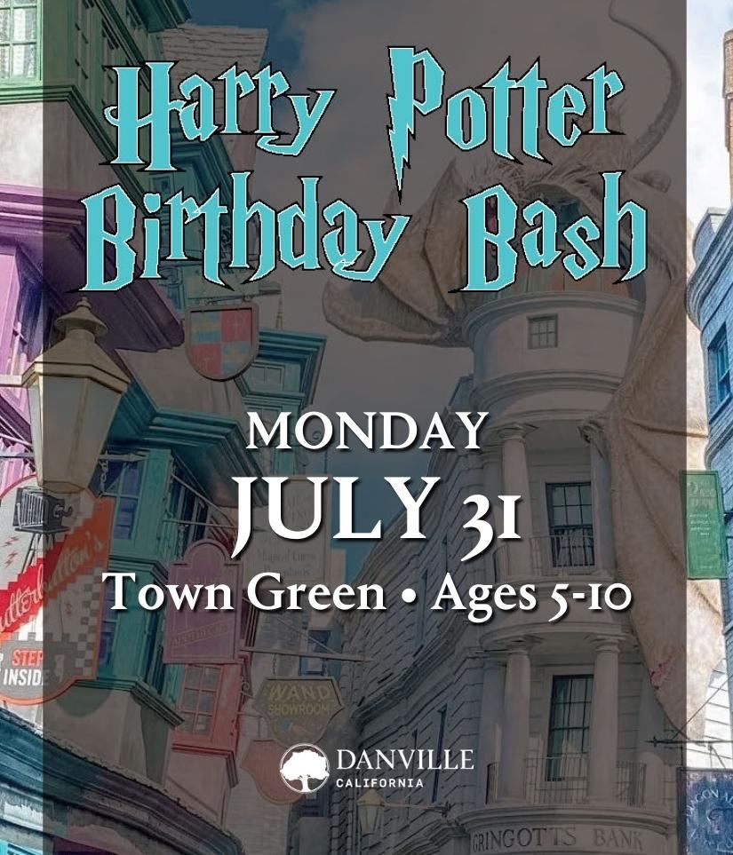 Harry Potter Birthday Bash