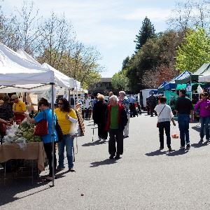 Farmers Market