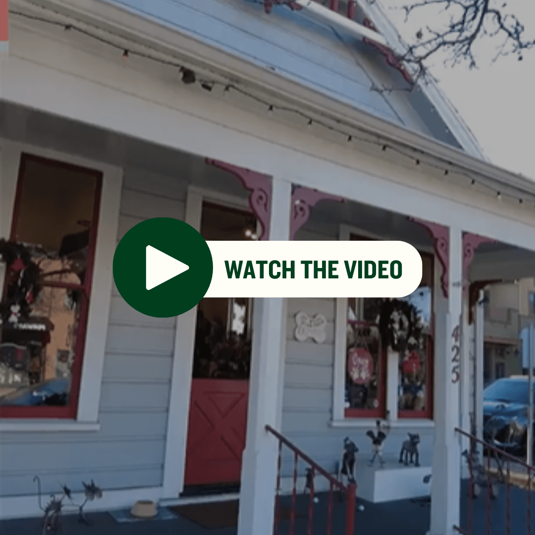 Holiday Campaign Video Downtown Opens in new window