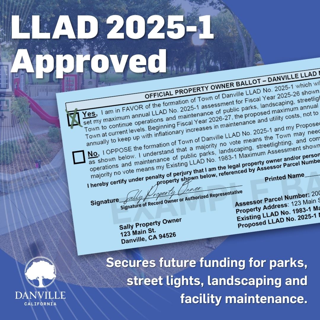 graphic showing yes vote on a ballot