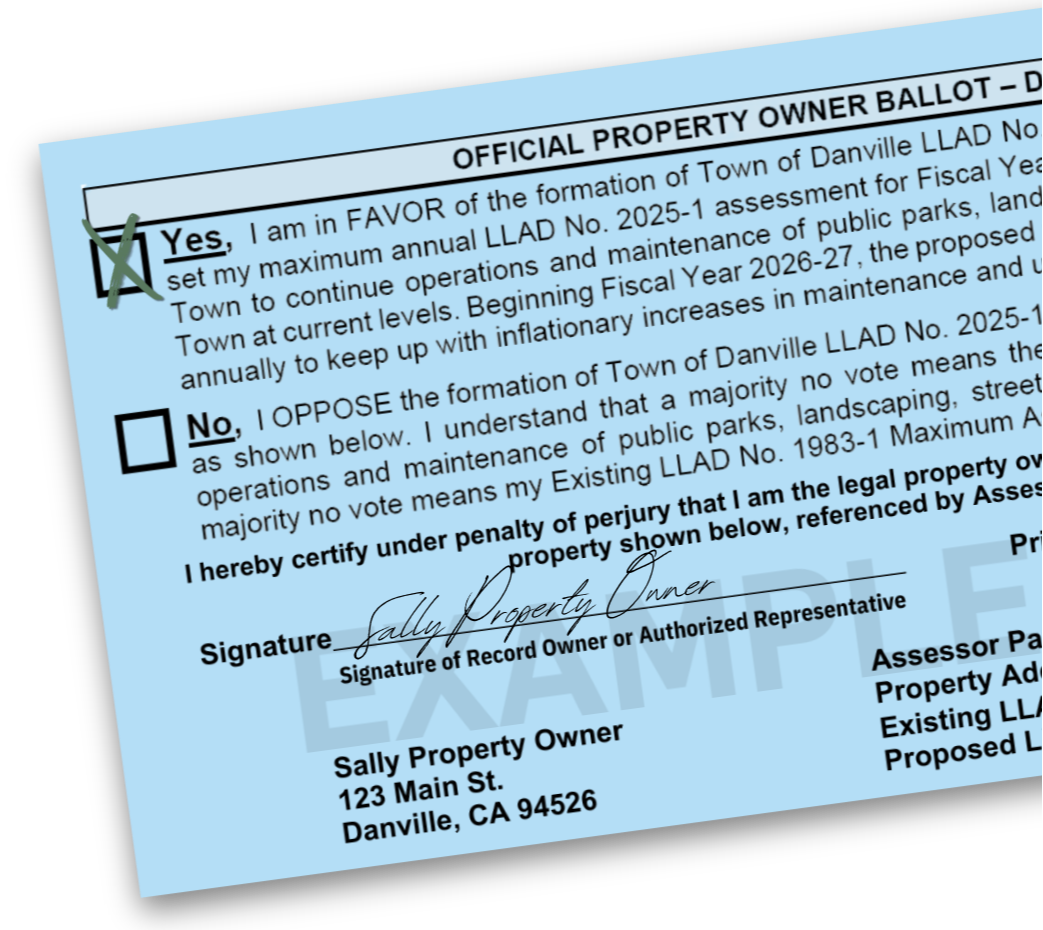 blue ballot marked yes