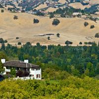 A house surrounded by trees