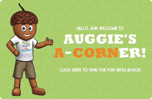 TOD-AUGGIES-A-CORNER-WEBSITE-BANNER-2021 Opens in new window