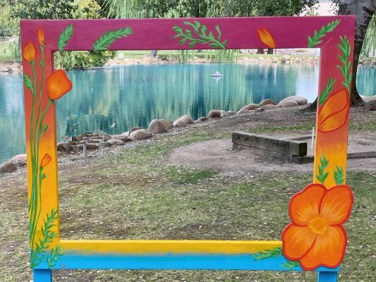 Poppies by Alicyn West at Oak Hill Park 2